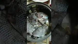 #paksiwnatilapia