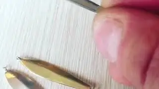АТ37 и Алиса