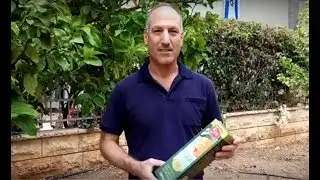 הדברת זבובי פירות בגינה - בשיטת פטנט ישראלית, הכי יעילה וידידותית!