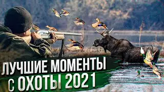 ОХОТА. Сборник лучших моментов на ОХОТЕ. ОХОТА НА ЛОСЯ, КАБАНА, ЗАЙЦА, УТКУ, ВАЛЬДШНЕПА, БЕКАСА 2021