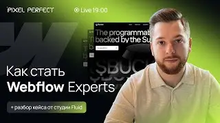 Ускоряем разработку на Webflow. Как стать Webflow Experts, разбор кейса от студии Fluid