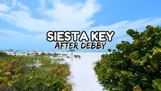 Siesta Key after HURRICANE DEBBY | Florida Flooding Update (+ Lido Beach Conditions)