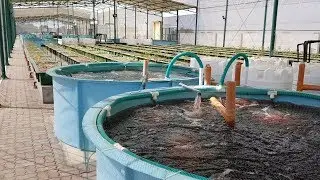 Aquaponics Design Course