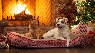 A Very Happy Yule Log