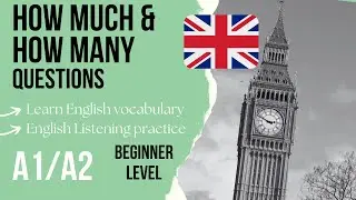 HOW MUCH/HOW MANY Questions in English: Examples with answers 🇬🇧 Beginner English Listening Practice