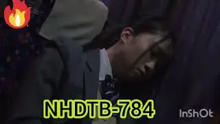 NHDTB 784