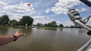 Webber Paddle Park
