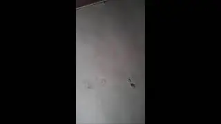 Сули Сайкуев в прямом эфире!