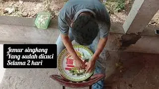 Pembuatan tepung mocaf dari ubi kayu singkong