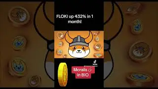 FLOKI Moon 