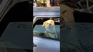 Устал ждать отправления