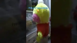 Моя утя в 3 часа ночи😅🤦‍♀️#лалафанфан