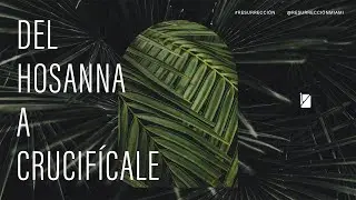 IBR Miami | Del Hosonna a Crucifícale