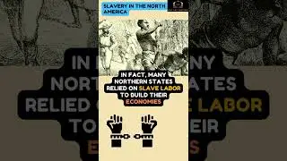 there was no slavery in the north??#history #fact #shorts