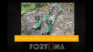 Mini Hoard и Midi Hoard - тест на глубину и дискриминацию