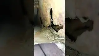 Рукожопы.