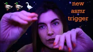 ASMR: 'Duck Duck Goose' - Hand Movements and TASCAM Tingles to Make You Sleepy 🦆🦆