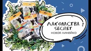Лакомства для собак