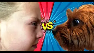 ЧЕЛЛЕНДЖ | Кто быстрее и ловчее? Я против своей собаки! Играю с собакой