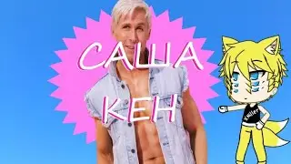 ЛИСЯТИНА СМОТРИТ МНЕНИЕ О ШИПАХ САШИ КЕНЫ