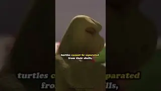 DreamWorks Movie Mistakes | In OVER THE HEDGE (2006) 