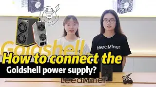 How to Connect the Goldshell Power Supply?