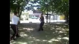 XingYi - BaGua Green Dragon Sabre
