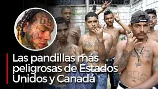 Las pandillas más peligrosas de Estados Unidos y Canadá