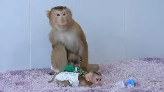Adorable Olly With Tiny Valen Waiting Mom Wear Clothes