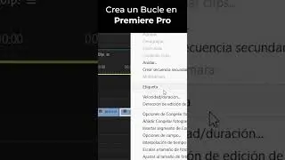 Crea BUCLE en Premiere Pro 
