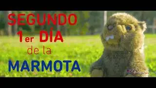 Segundo Primer Día de la Marmota en España - Centraldereservas.com