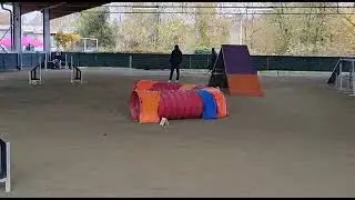 2021   14  11   Vauda   Agility2