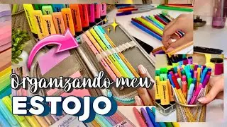 ORGANIZANDO MEU ESTOJO | O que tem no meu estojo