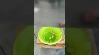 Очеститель Чеснока! Техчеснок