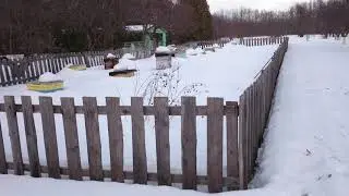 Пасека в Ленинских Горках