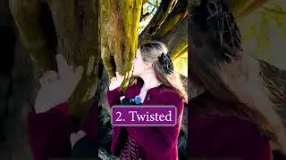 Describe an ANCIENT tree ✨🧚‍♀️🌳 