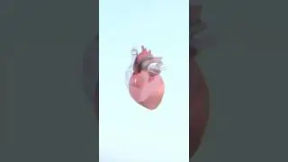 SEVENTEEN (세븐틴) ‘SEVENTEENTH HEAVEN’ - Track Sampler #2 