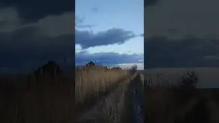 4 апреля 2024 г.