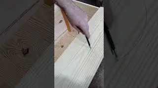 fazendo casinha de cachorro