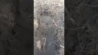 окопы войны 2022,линия фронта ,ноль