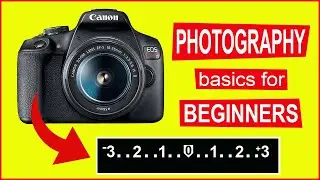 BEGINNER PHOTOGRAPHY TIPS - The cameras light meter explained.