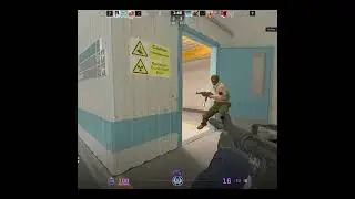 What in the cs