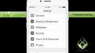 How to Turn iPhone Grayscale On and Off