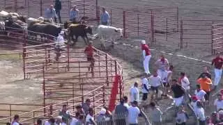 2014 The Great Bull Run Houston - B