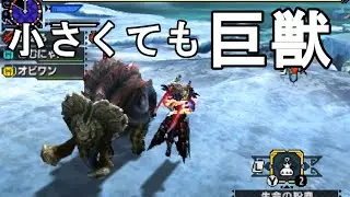 【MHX実況】小さくても巨獣　極小ガムート【モンハンクロス】