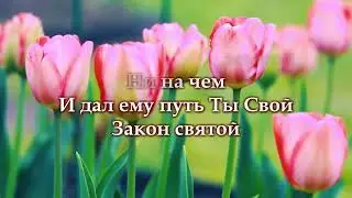 "Из праха коры земной" Караоке - МИНУС Анжелика и Анастасия Вишня