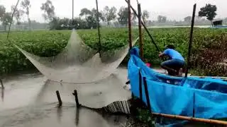 Ultimate Fishing Guide: Rainy Season in Bangladesh