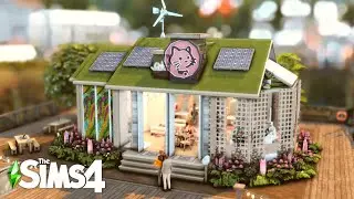 CAT CAFÉ 🐈☕️ | The Sims 4 Speed Build | No CC