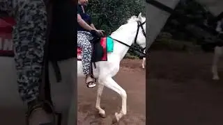 Horse riding