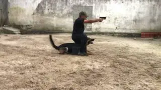 Cátia do Sadonana e José Henrique - Aluno Max Macedo